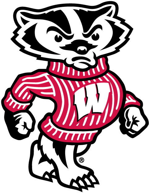 Wisconsin Badgers 2002-Pres Mascot Logo t shirts iron on transfers v2